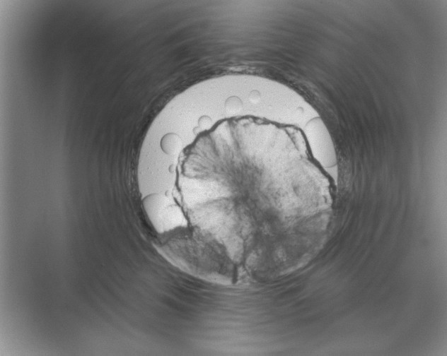 X0000074340569200609230121