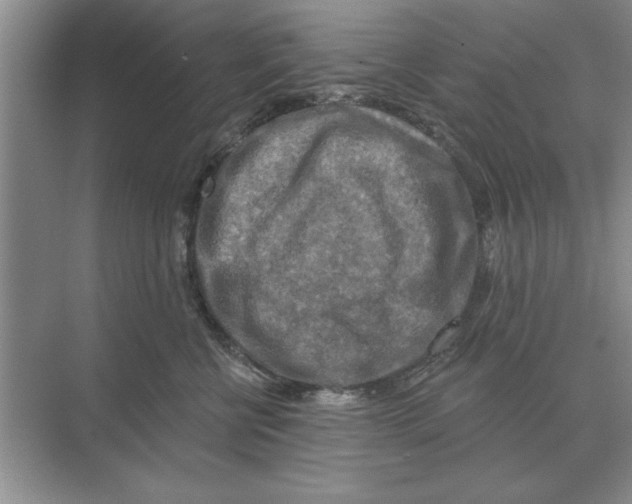 X0000074340570200609230121