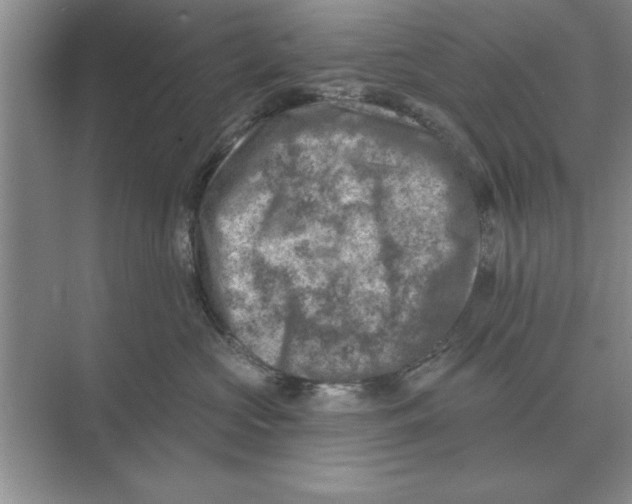 X0000074340573200609230121