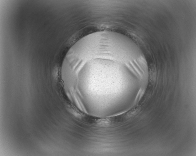 X0000074340574200609230121