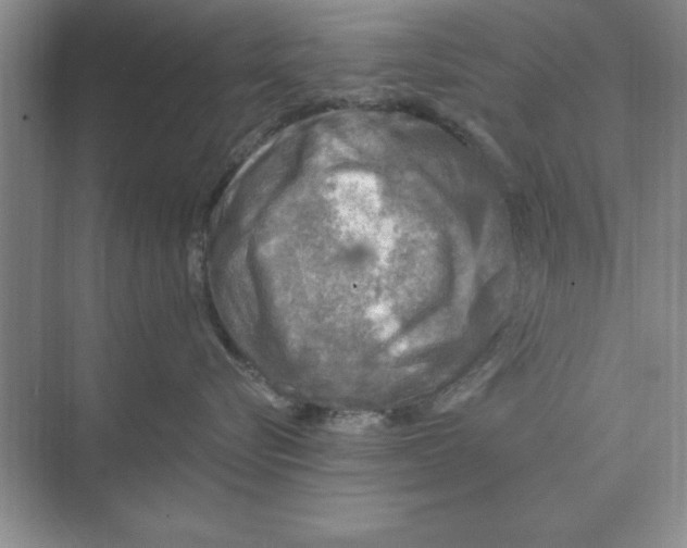 X0000074340576200609230121