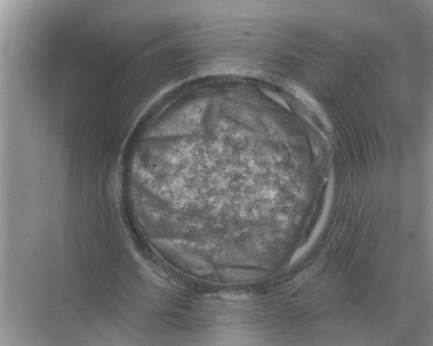 X0000074340580200609230120