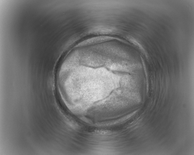 X0000074340582200609230120