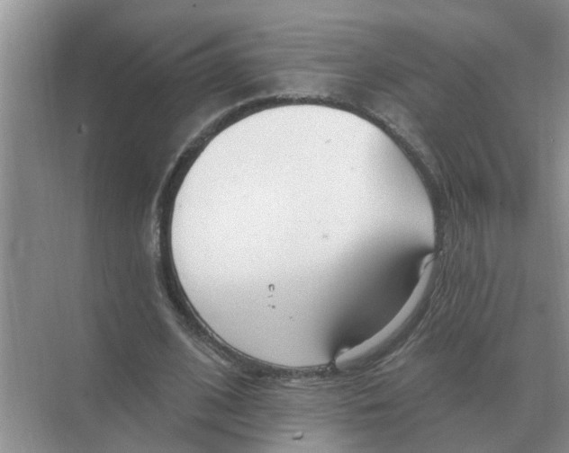 X0000074340584200609230120