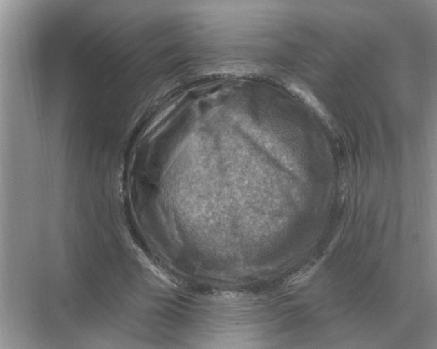 X0000074340585200609230120