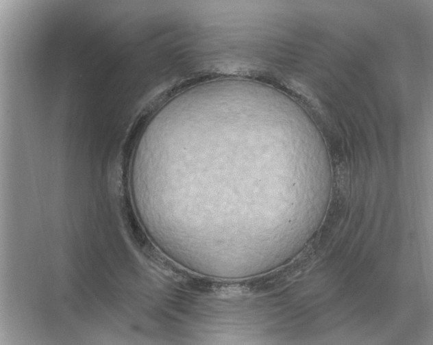 X0000074340587200609230120