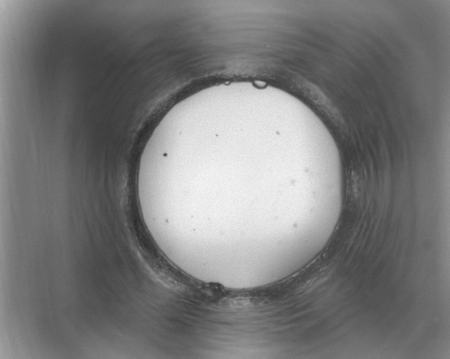 X0000074340588200609230120