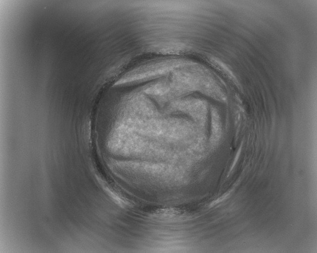 X0000074340589200609230120