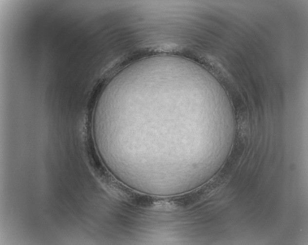 X0000074340591200609230120