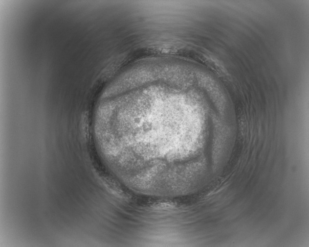 X0000074340594200609230120