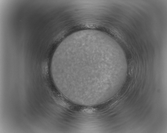 X0000074340595200609230120