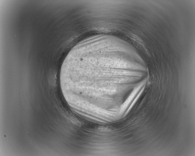 X0000074340596200609230120