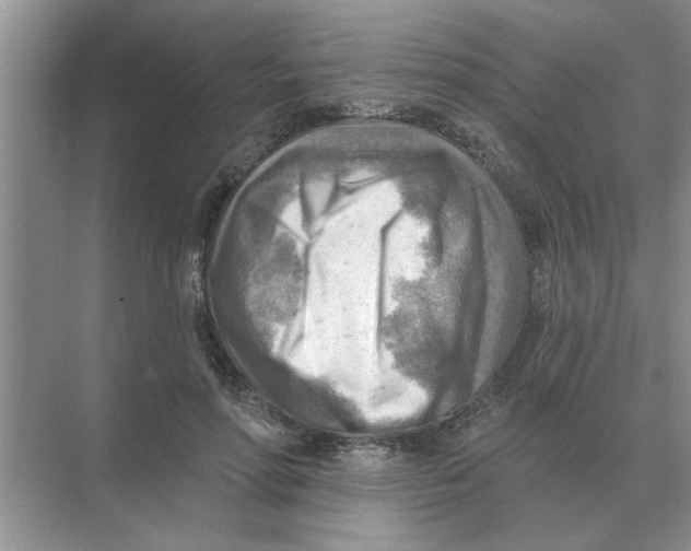 X0000074340598200609230120