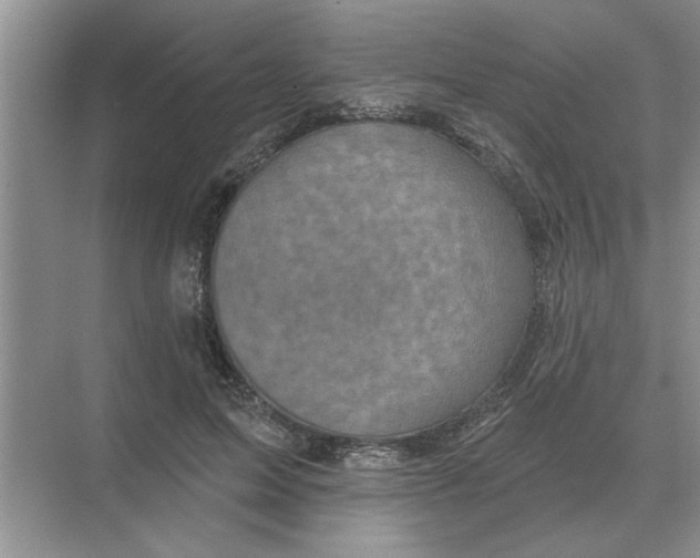 X0000074340599200609230120