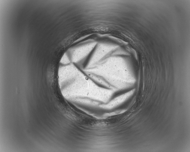 X0000074340600200609230120