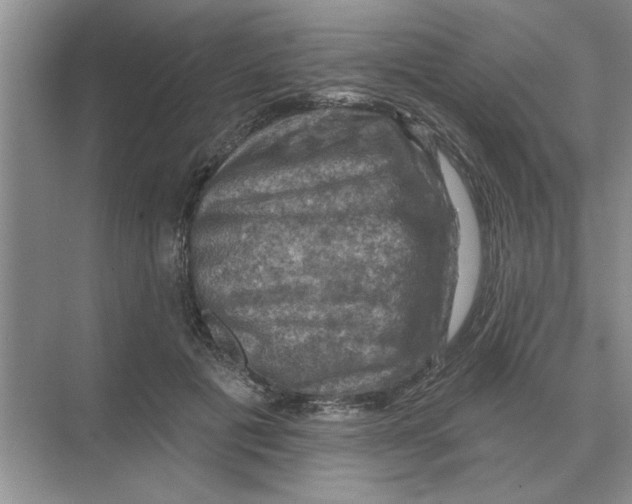 X0000074340601200609230120