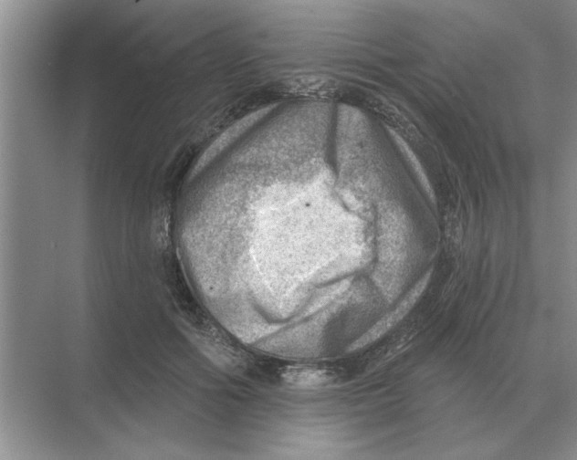 X0000074340602200609230120