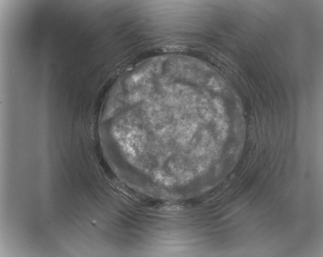 X0000074340604200609230120