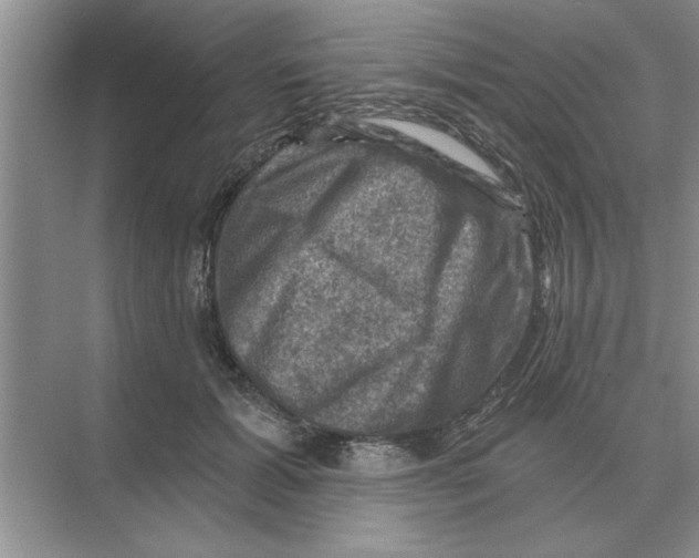 X0000074340605200609230120