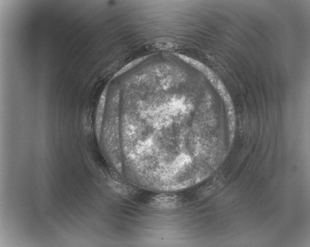 X0000074340606200609230120