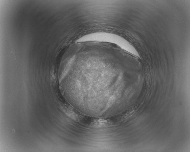 X0000074340607200609230120