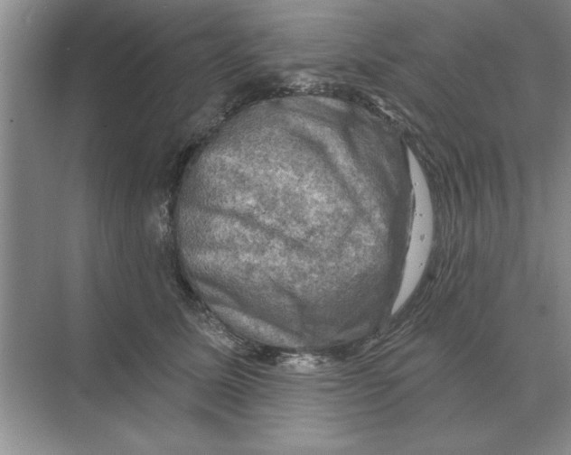 X0000074340611200609230120