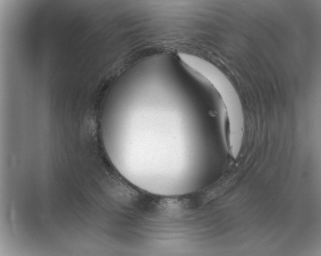 X0000074340613200609230120