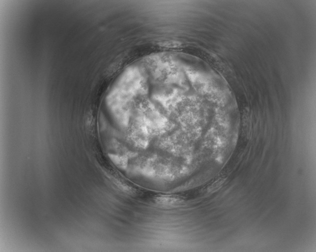 X0000074340614200609230120