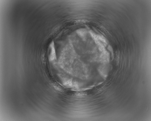 X0000074340619200609230120