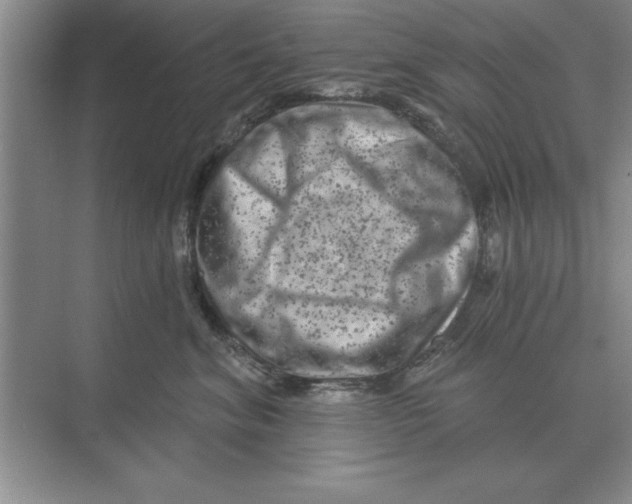 X0000074340620200609230120