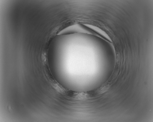 X0000074340621200609230120