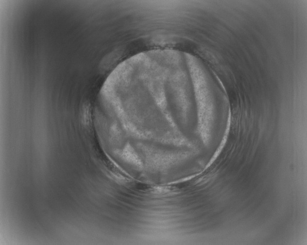 X0000074340623200609230120