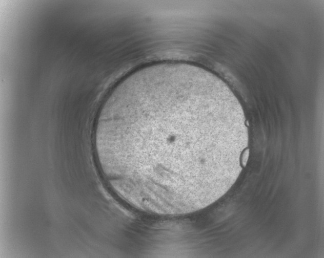 X0000074340625200609230119