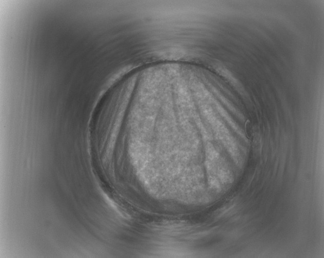 X0000074340626200609230119