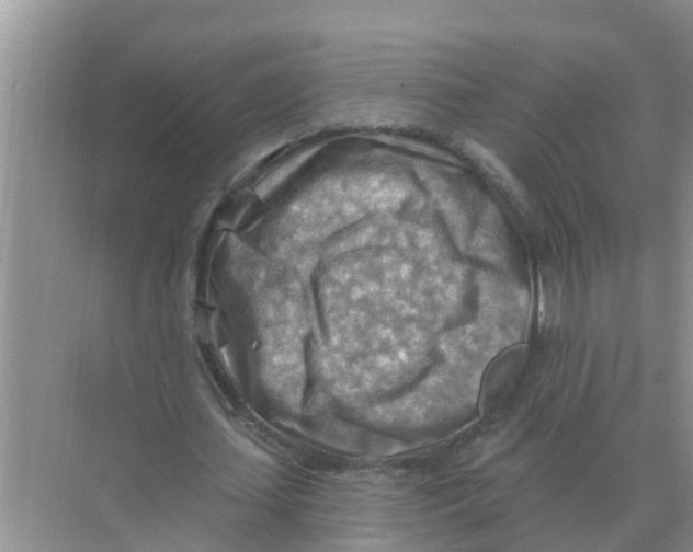 X0000074340627200609230119