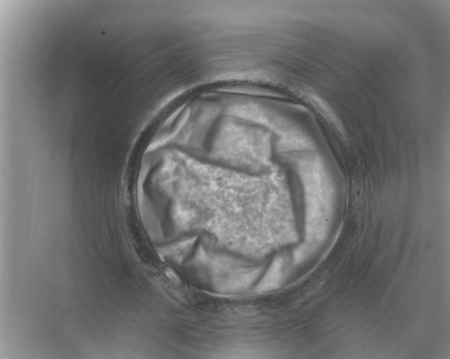 X0000074340628200609230119