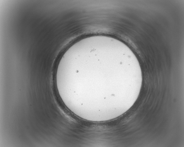 X0000074340629200609230119