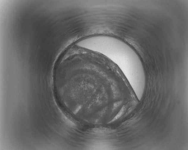 X0000074340630200609230119