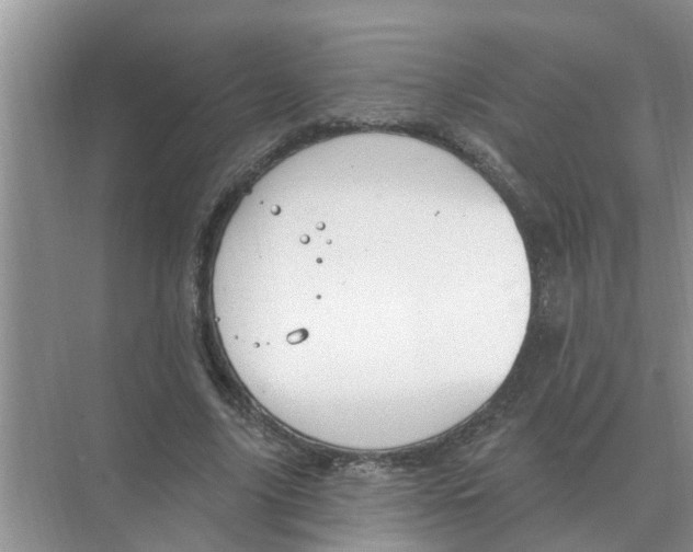 X0000074340635200609230119