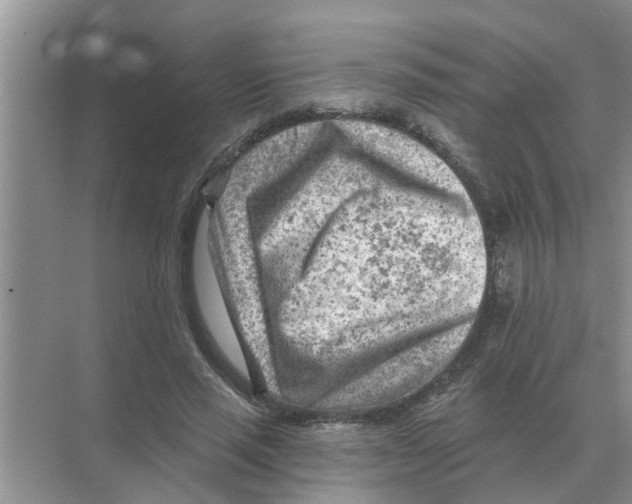 X0000074340637200609230119