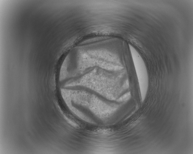 X0000074340638200609230119