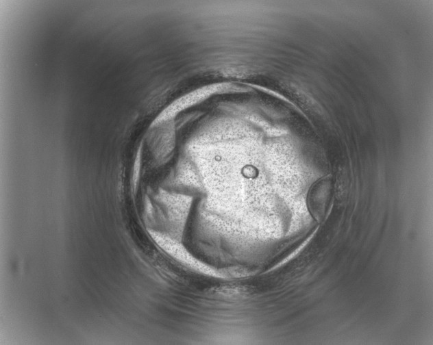 X0000074340639200609230119