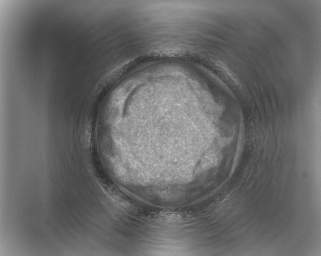 X0000074340640200609230119