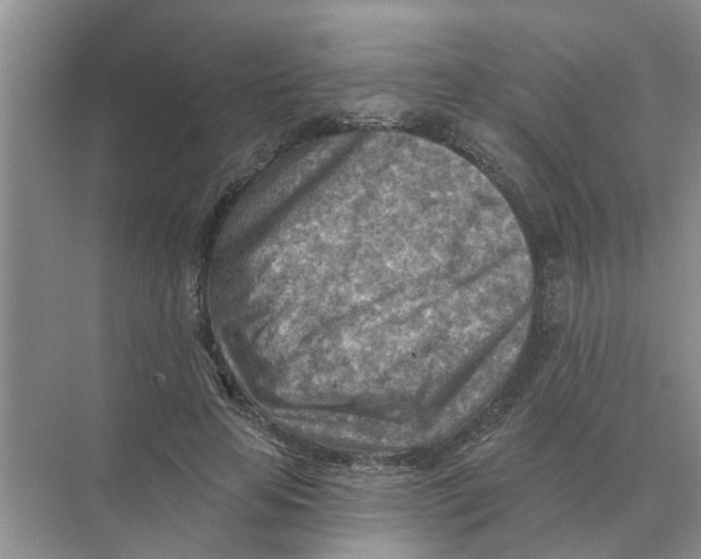 X0000074340641200609230119