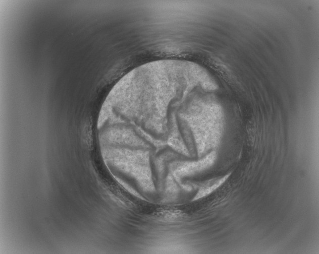 X0000074340642200609230119