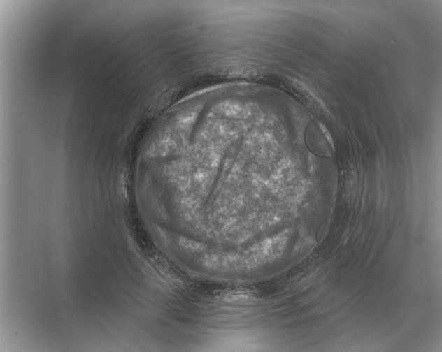 X0000074340643200609230119