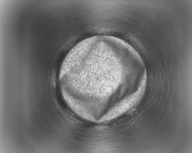 X0000074340644200609230119