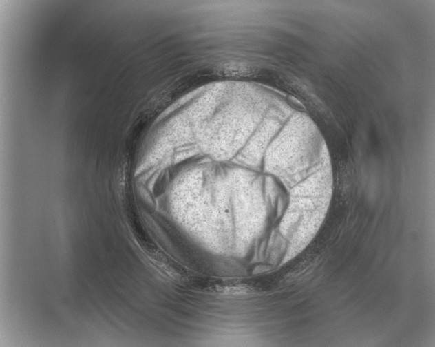 X0000074340645200609230119