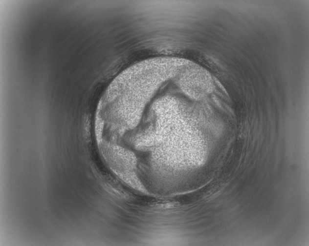 X0000074340646200609230119