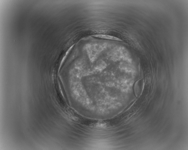 X0000074340647200609230119